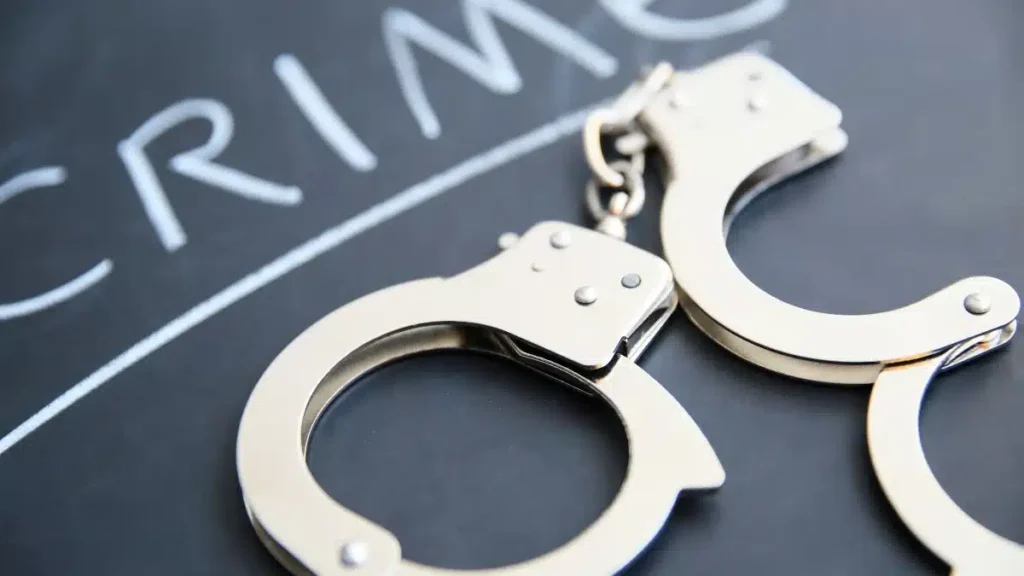 Os 5 Crimes Mais Cometidos no Brasil
