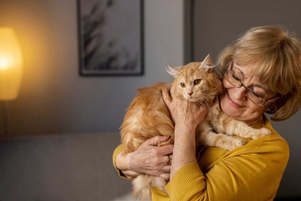 Areia ideal para filhotes e gatos idosos: o que muda com a idade