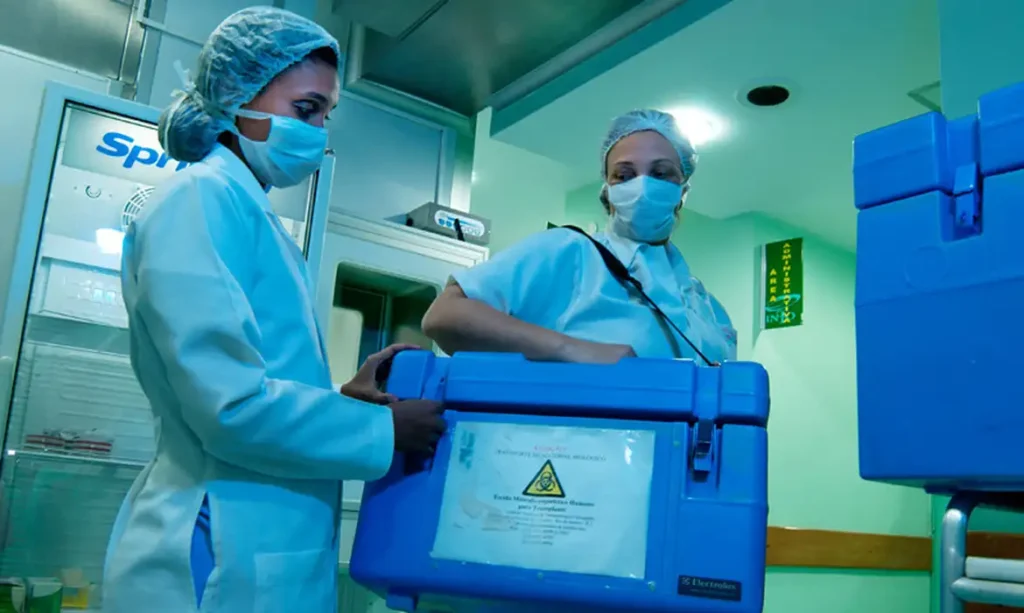 Brasil bate recorde de 31 mil transplantes em 2025