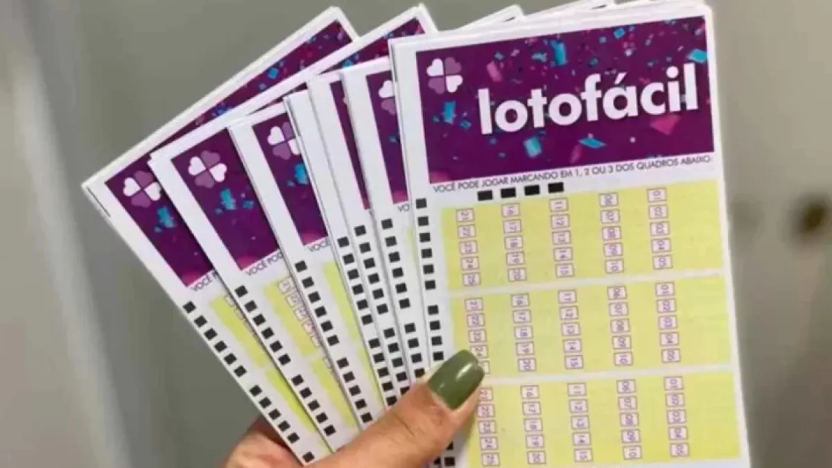 Lotofácil 3741: aposta única leva R$ 14,2 milhões